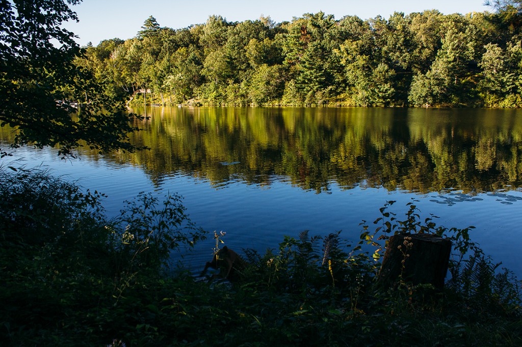 lake with trees around it