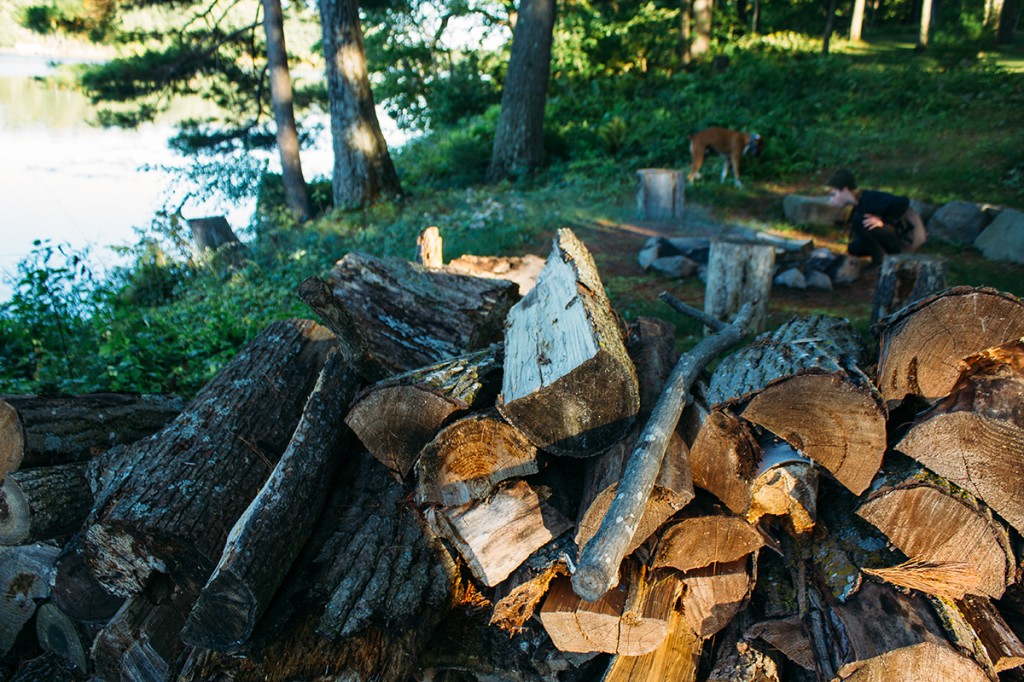 pile of campfire logs in forest