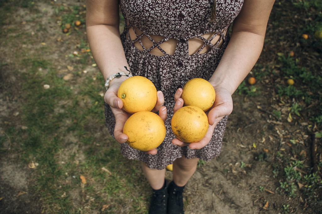 chocolate covered oranges