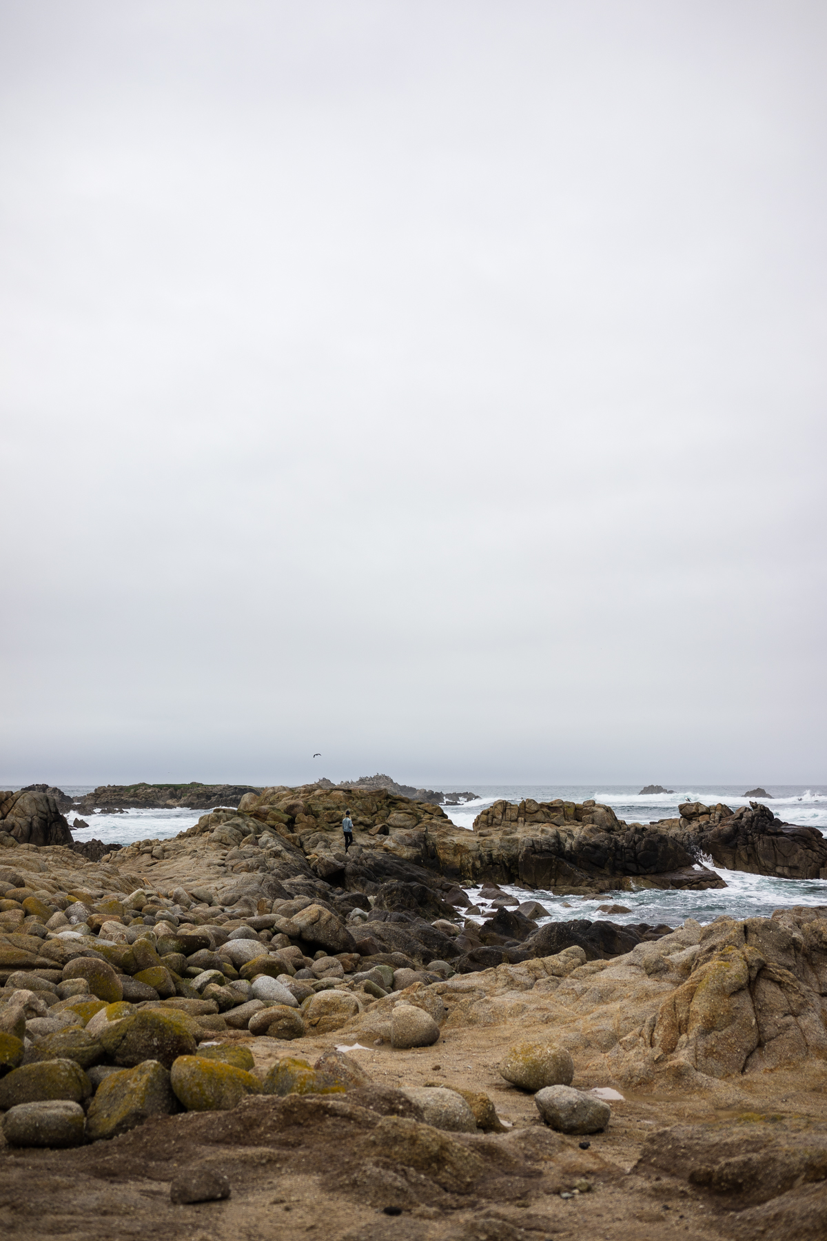 Cambria, San Fransisco, Monterey, Cayucos, Morro Bay, and Venice