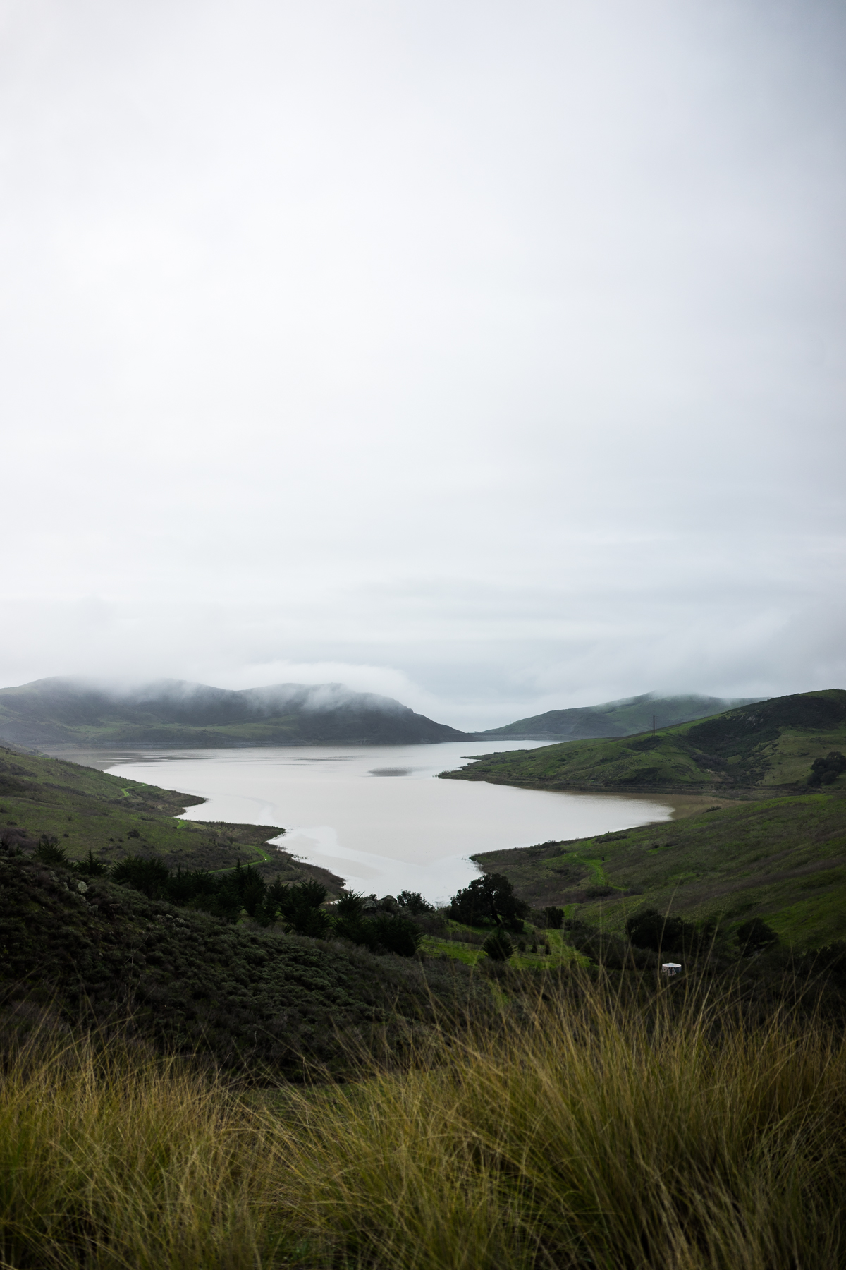 Cambria, San Fransisco, Monterey, Cayucos, Morro Bay, and Venice