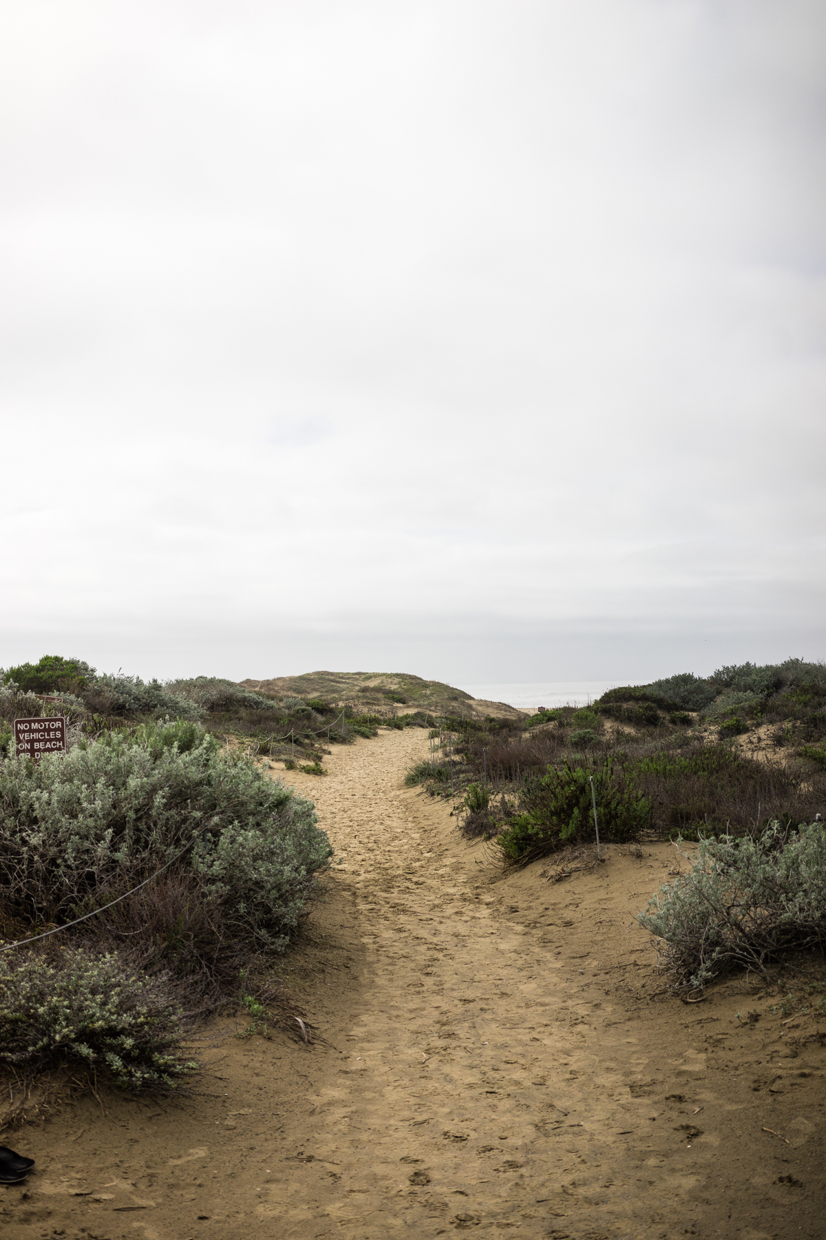 Cambria, San Fransisco, Monterey, Cayucos, Morro Bay, and Venice