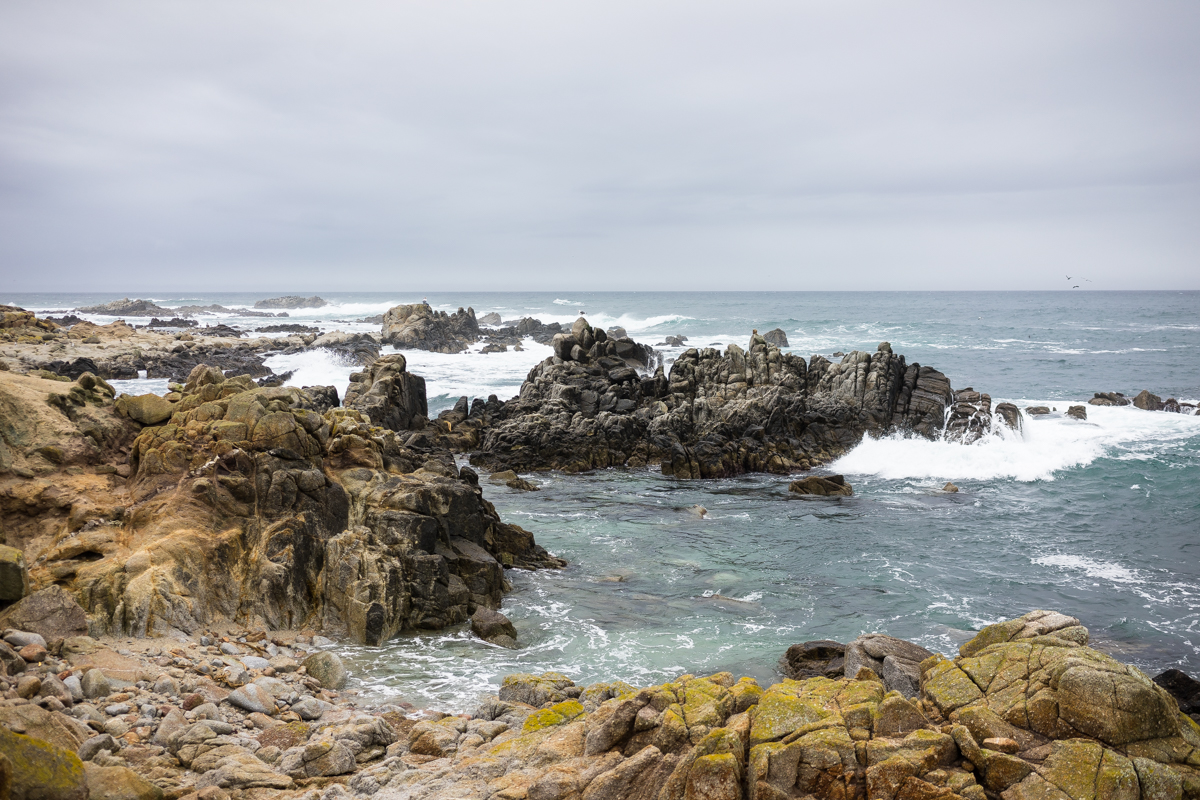 Cambria, San Fransisco, Monterey, Cayucos, Morro Bay, and Venice