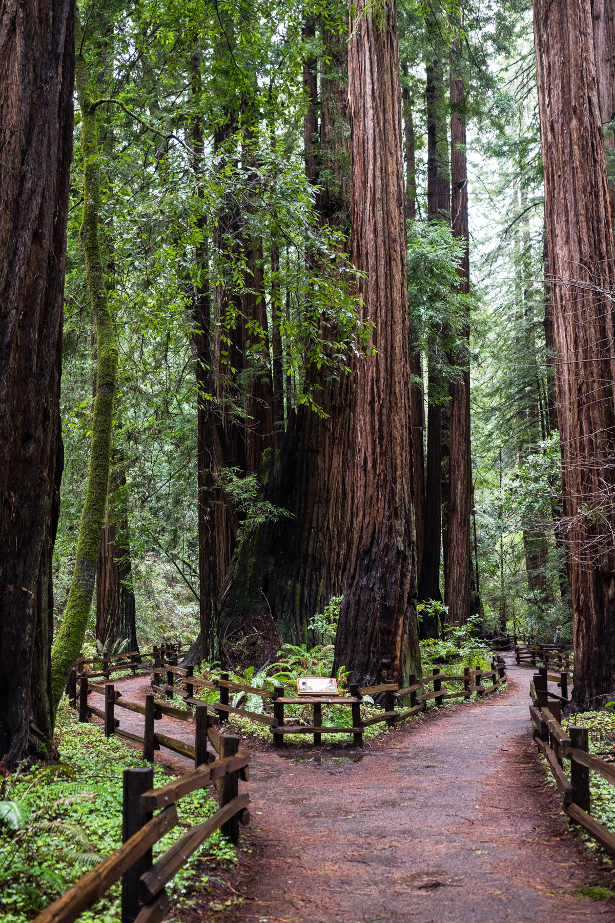 Cambria, San Fransisco, Monterey, Cayucos, Morro Bay, and Venice