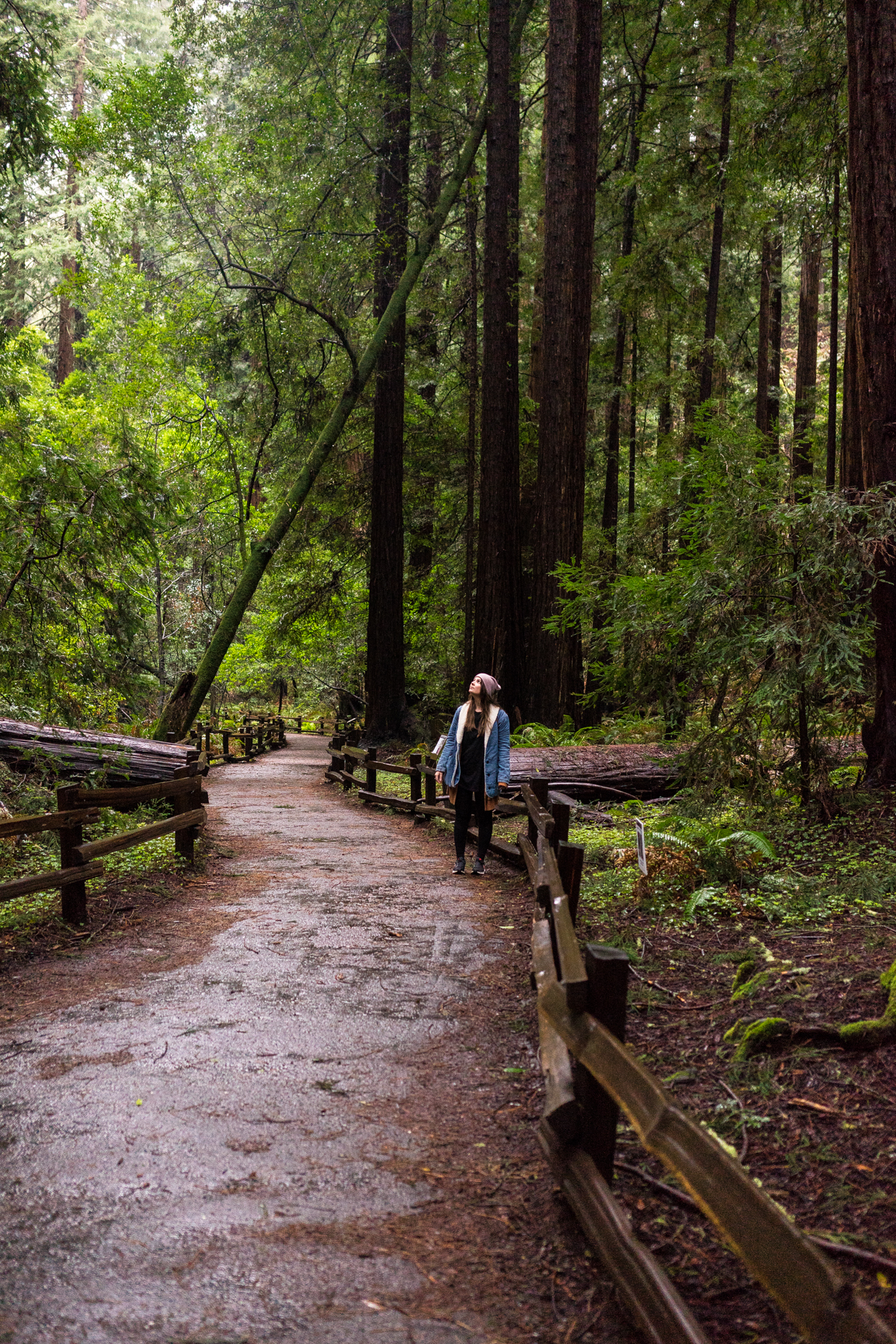 Cambria, San Fransisco, Monterey, Cayucos, Morro Bay, and Venice