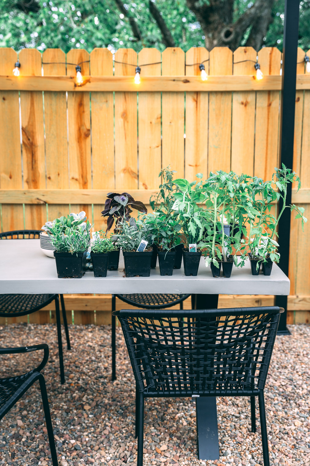 My Tips & Tricks For Planting an Edible Garden