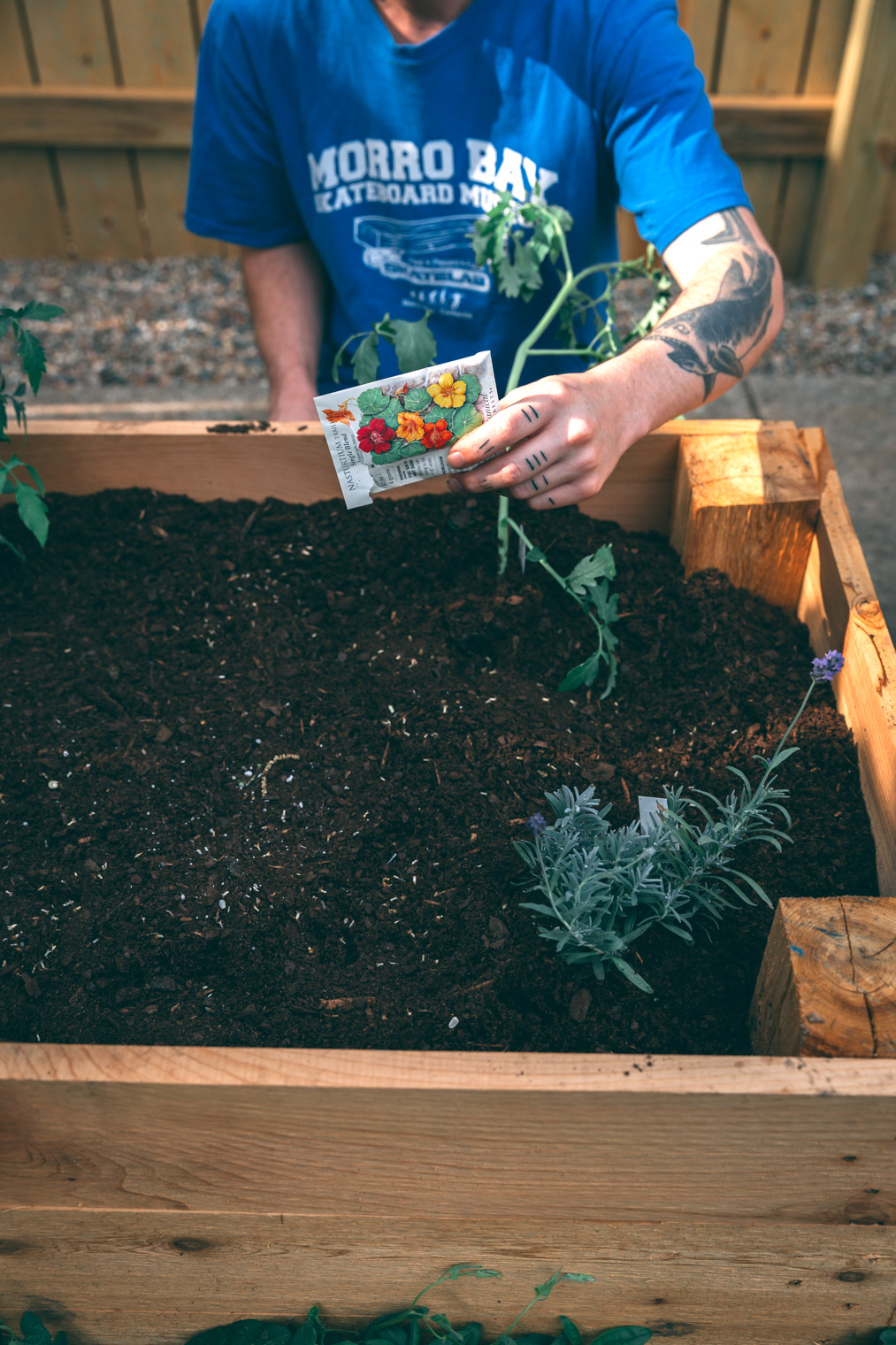 My Tips & Tricks For Planting an Edible Garden