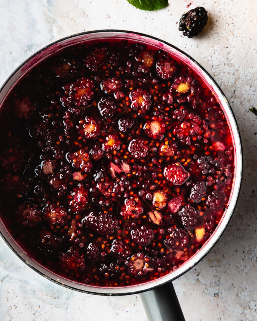 Spiked Frozen Lemonade concentrate with blackberries