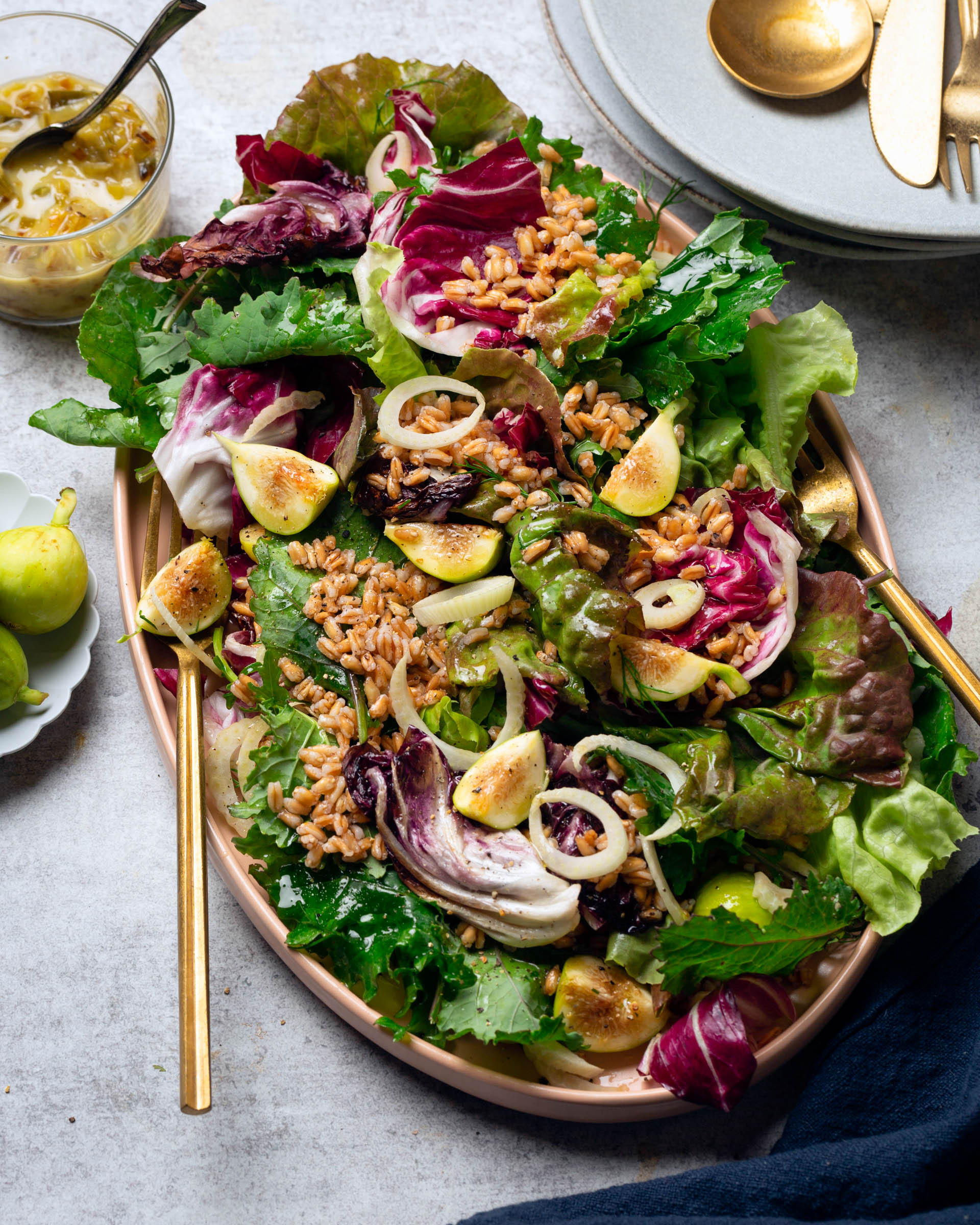 Farro Radicchio Salad with figs and fennel